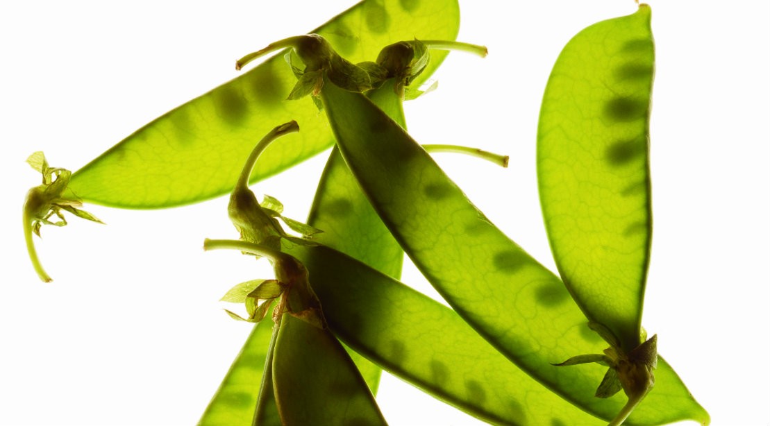 Snow Peas